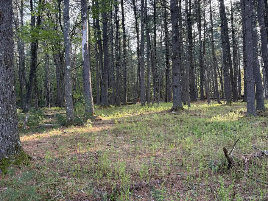 Airport Road, Highland, NY 12528 - #3