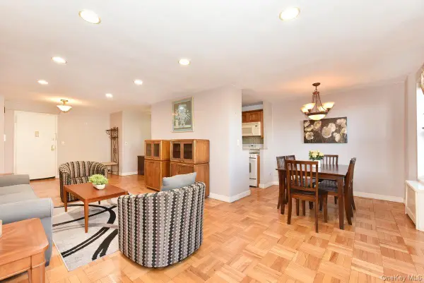 4 Birchwood Court #1N, Mineola, NY 11501