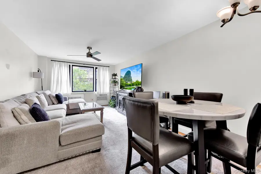 3 Birchwood Court #3H, Mineola, NY 11501 - #2