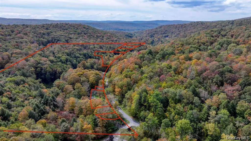Grooville Road, Livingston Manor, NY 12758 - #1