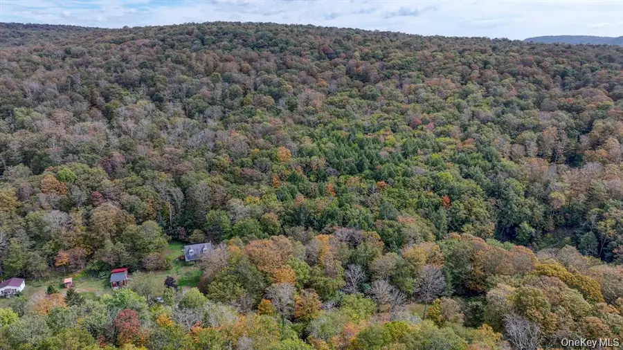 Grooville Road, Livingston Manor, NY 12758 - #3