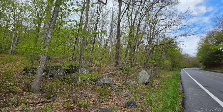 Lot 23.21 State Route 97, Narrowsburg, NY 12764 - #3