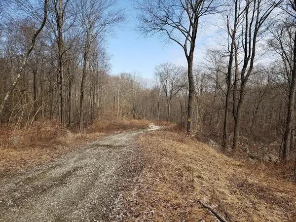 S White Rock Road, Holmes, NY 12531