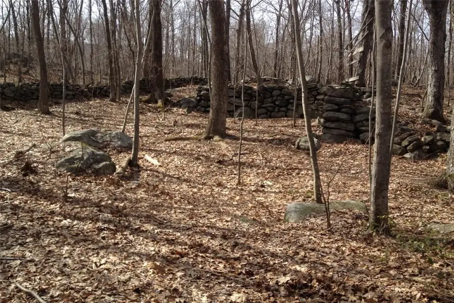 S White Rock Road, Holmes, NY 12531 - Image #2