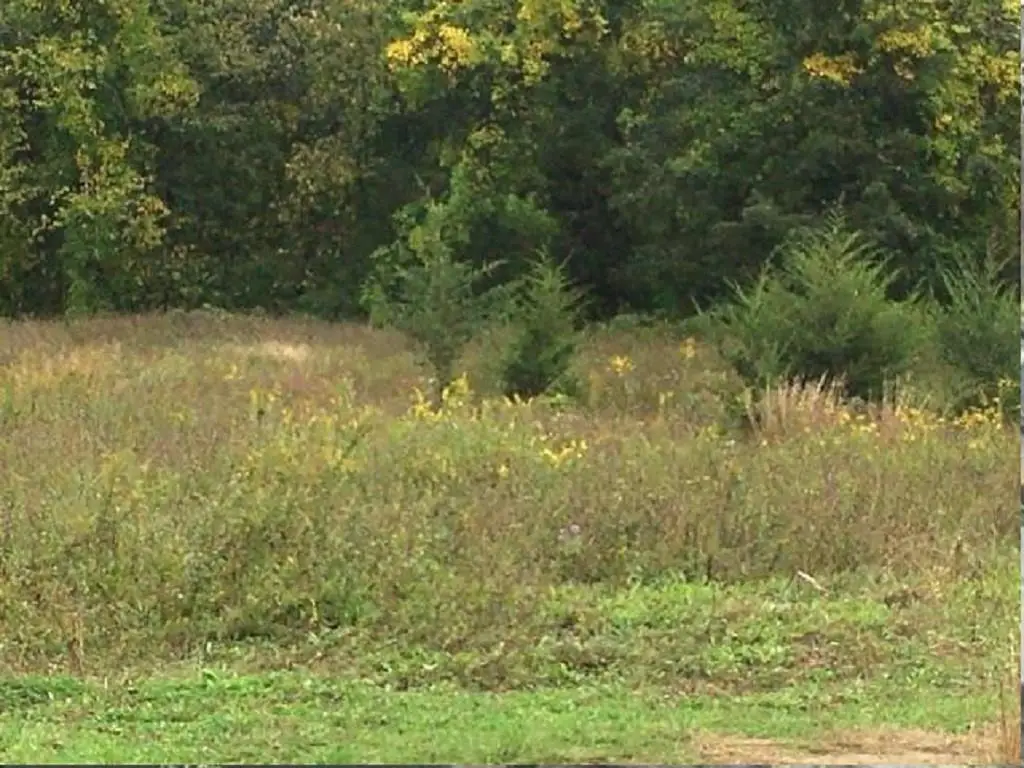 1055 Route 82, Hopewell Junction, NY 12533 - Image #1