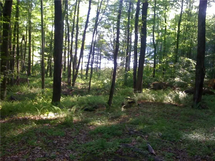 Lot 13 Woodstone Trail, Bethel, NY 12720 - Image #3