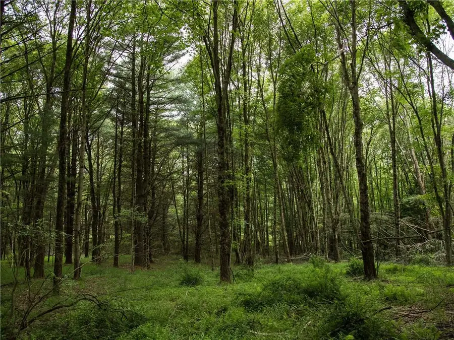 Lot 4 Chapin Trail, Bethel, NY 12720 - Image #3