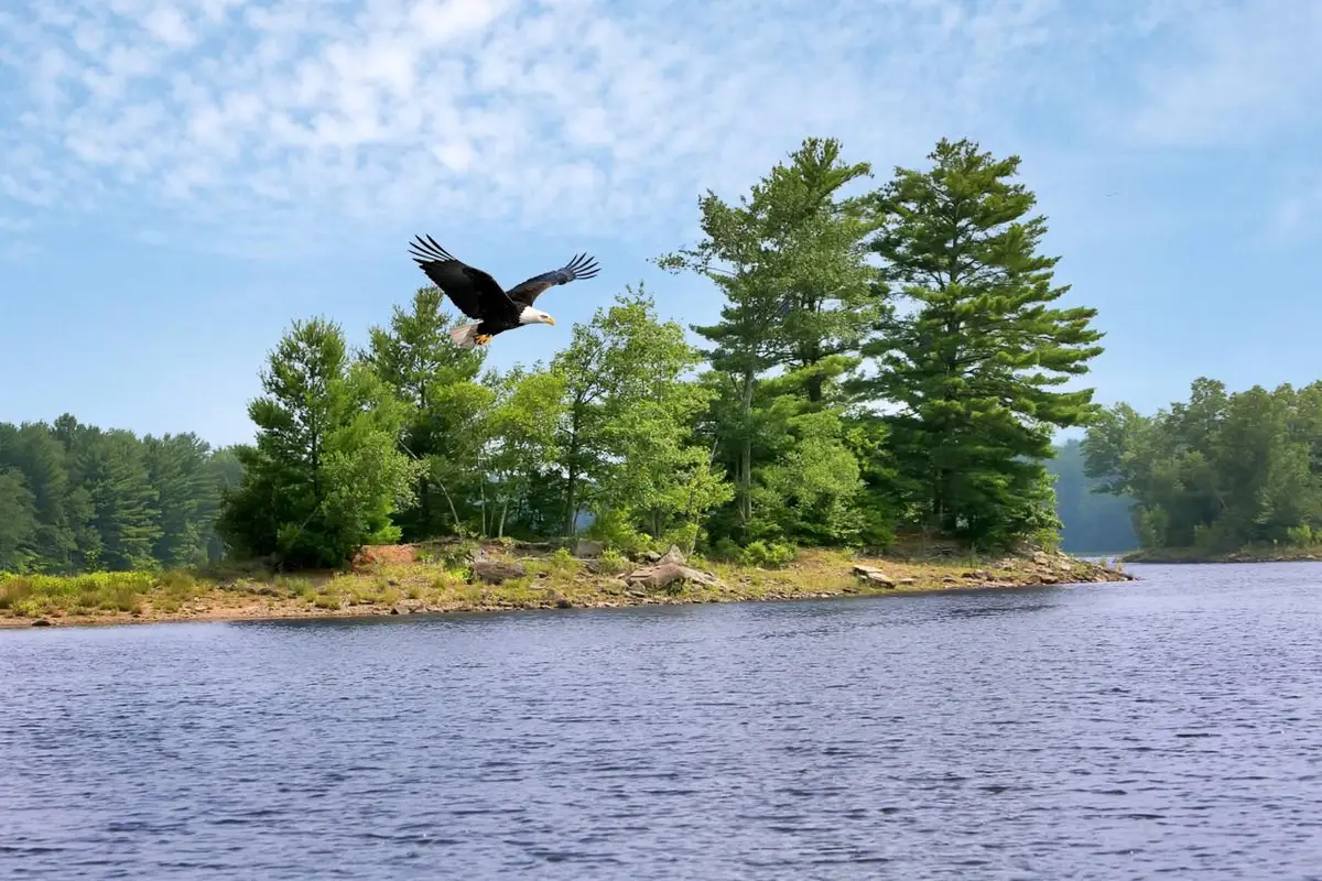 Whispering Woods Drive, Mongaup Valley, NY 12762 - Image #1