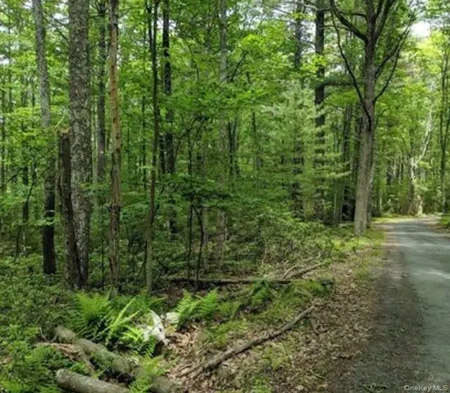 01 Allen Road, Wurtsboro, NY 12790 - Image #1