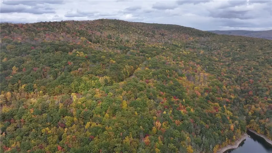 Huntley Hollow Road, Colchester, NY 13752 - Image #3