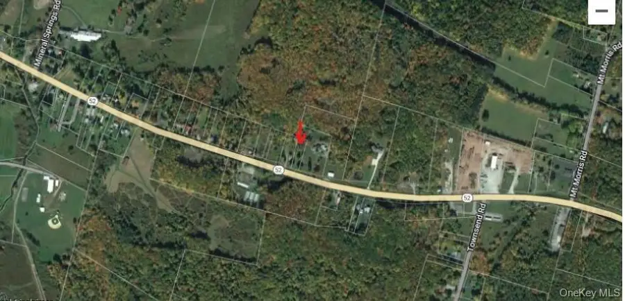 State Route 52, Liberty Town, NY 12754 - Image #2