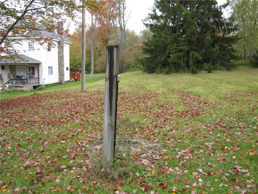 State Route 52, Liberty Town, NY 12754 - Image #3