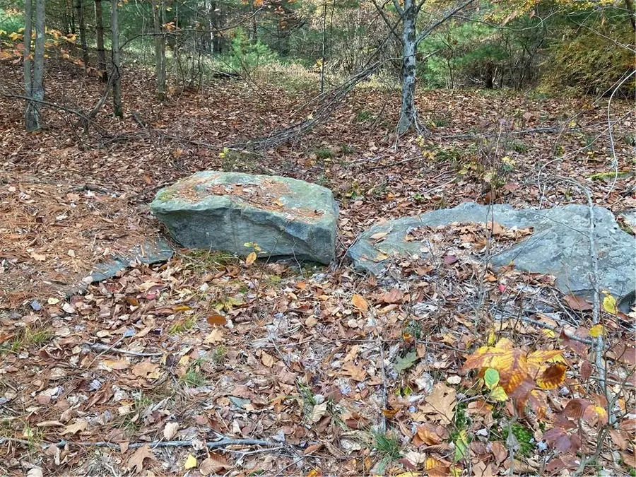 140 Plank Road, Mongaup Valley, NY 12762 - Image #3