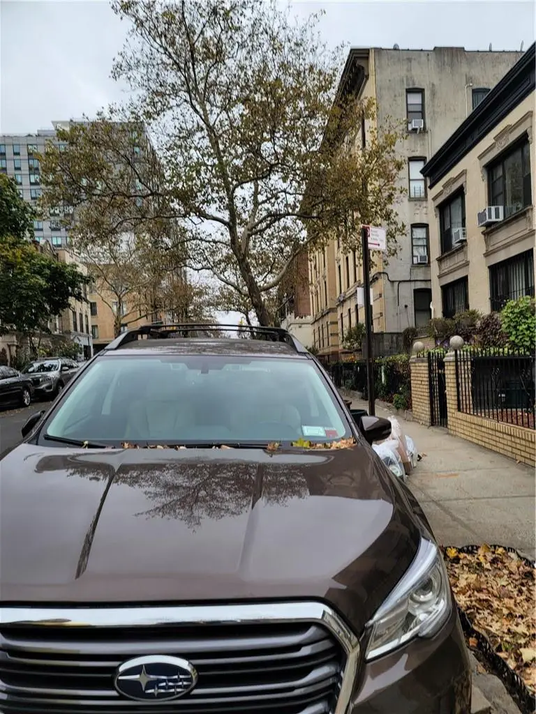 1209 Union Street, Brooklyn, NY 11225 - Image #2