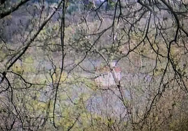 272 River Road, Ulster Park, NY 12487 - Image #2