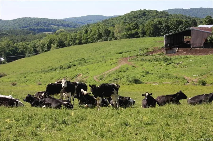 Yonderview Road, Hillsdale, NY 12529 - Image #3