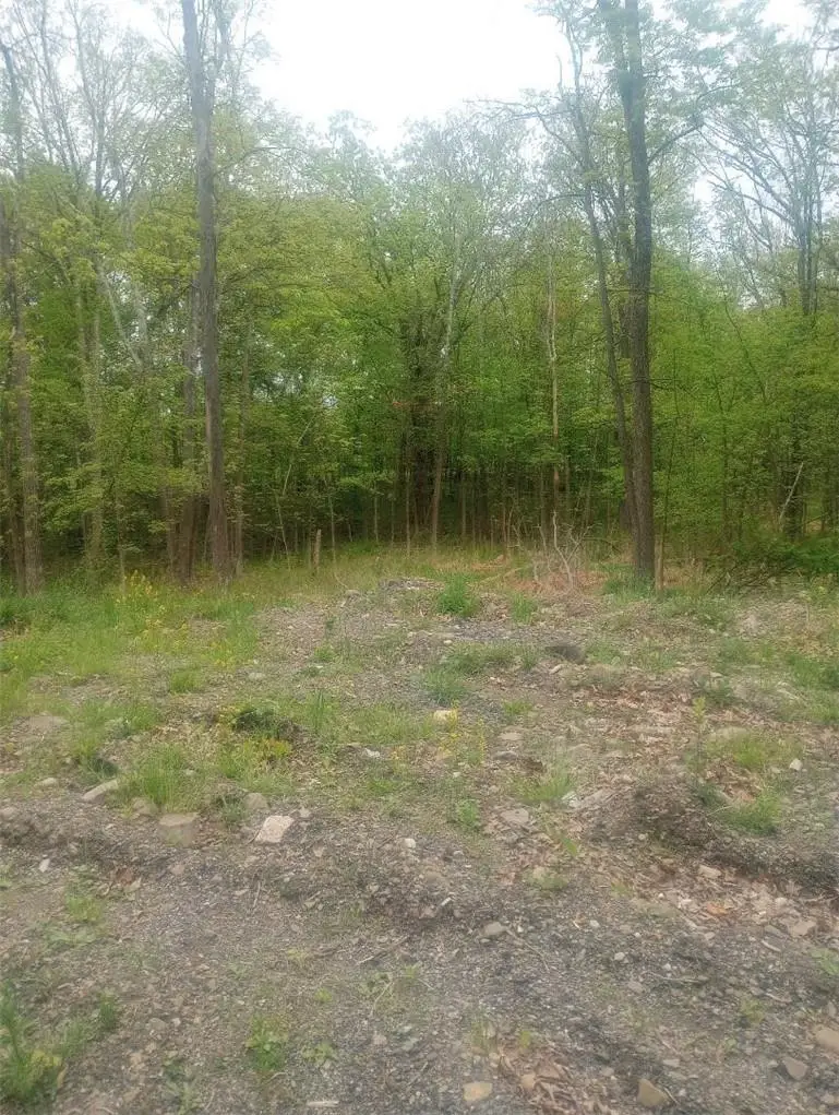 Myers RD. Westtown, NY 10 Myers Road, Westtown, NY 10998 - Image #3