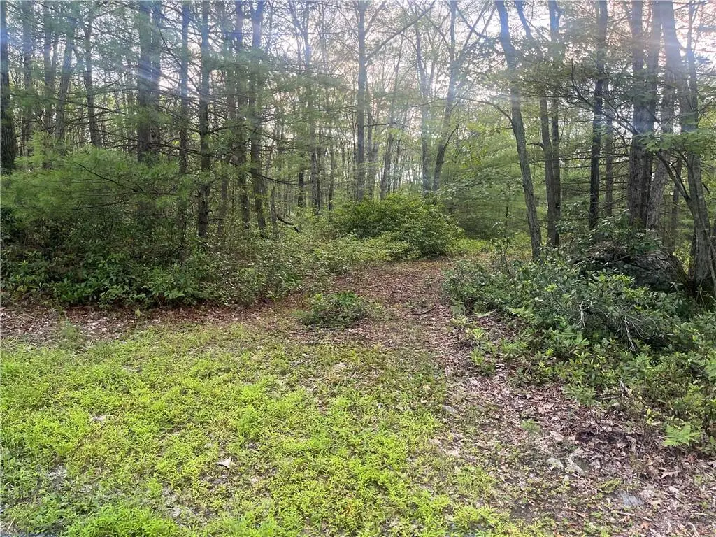 Hallenbach Road, Glen Spey, NY 12737 - Image #1