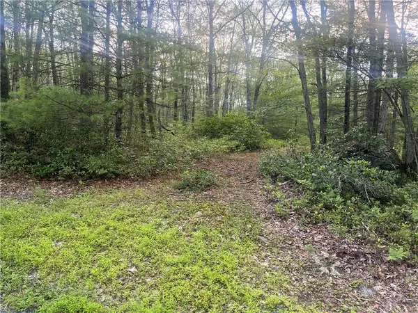 Hallenbach Road, Glen Spey, NY 12737