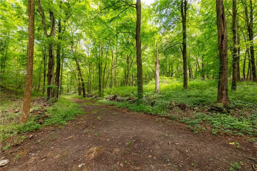 Arthursburg Road, Lagrangeville, NY 12540 - #2