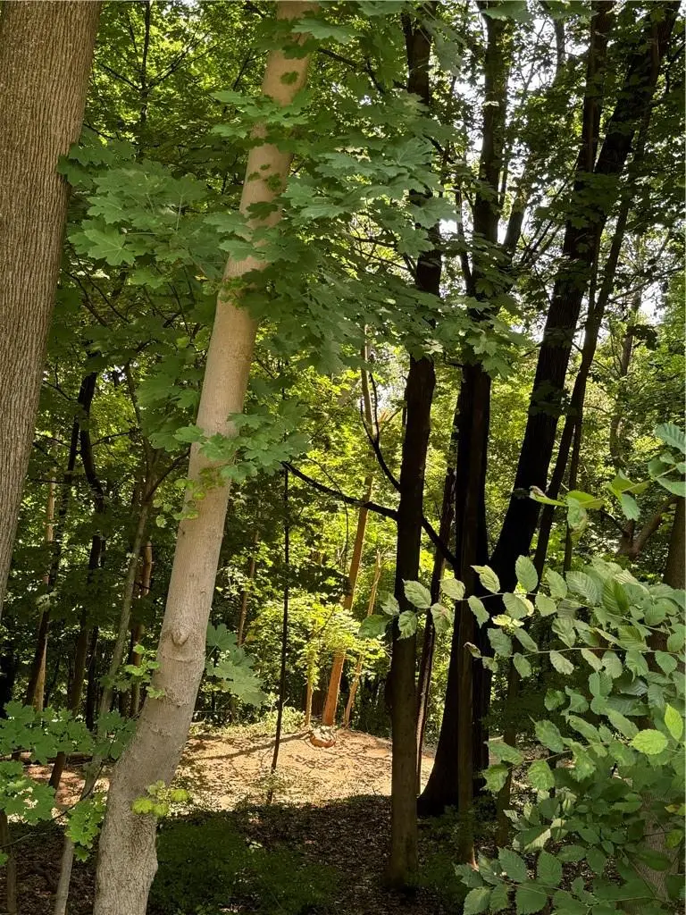 1129 Route 9w S, Nyack, NY 10960 - Image #3