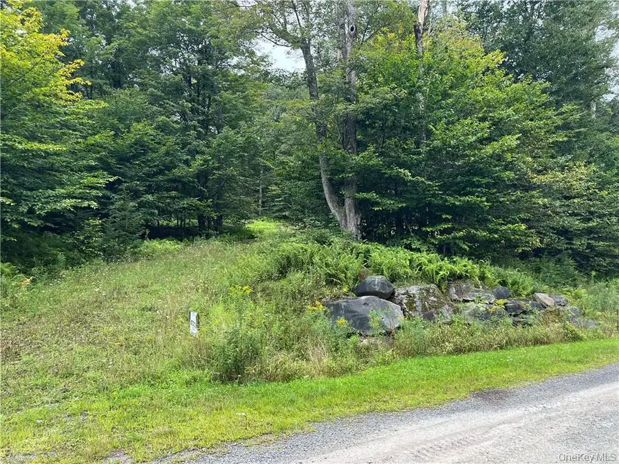 34 Black Bear Crossing, Claryville, NY 12725 - Image #3