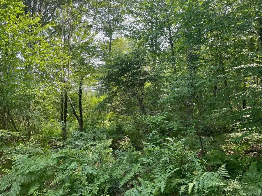 266 Callicoon Rd, #c, Damascus, PA 18415 - Image #2