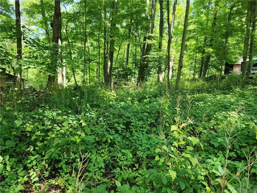 Rambler Road, Carmel, NY 10512 - Image #3