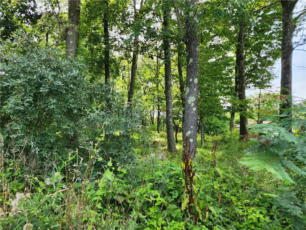 Kentview Drive, Carmel, NY 10512 - Image #1