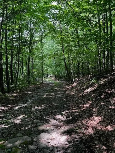 Rt-30, Downsville, NY 13755 - Image #2