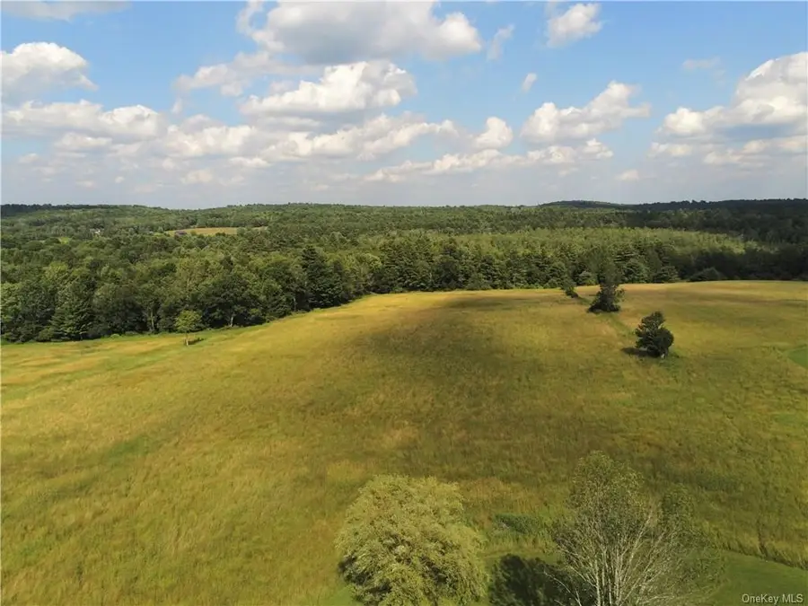 105 Dr Duggan Road, Bethel, NY 12720 - Image #3