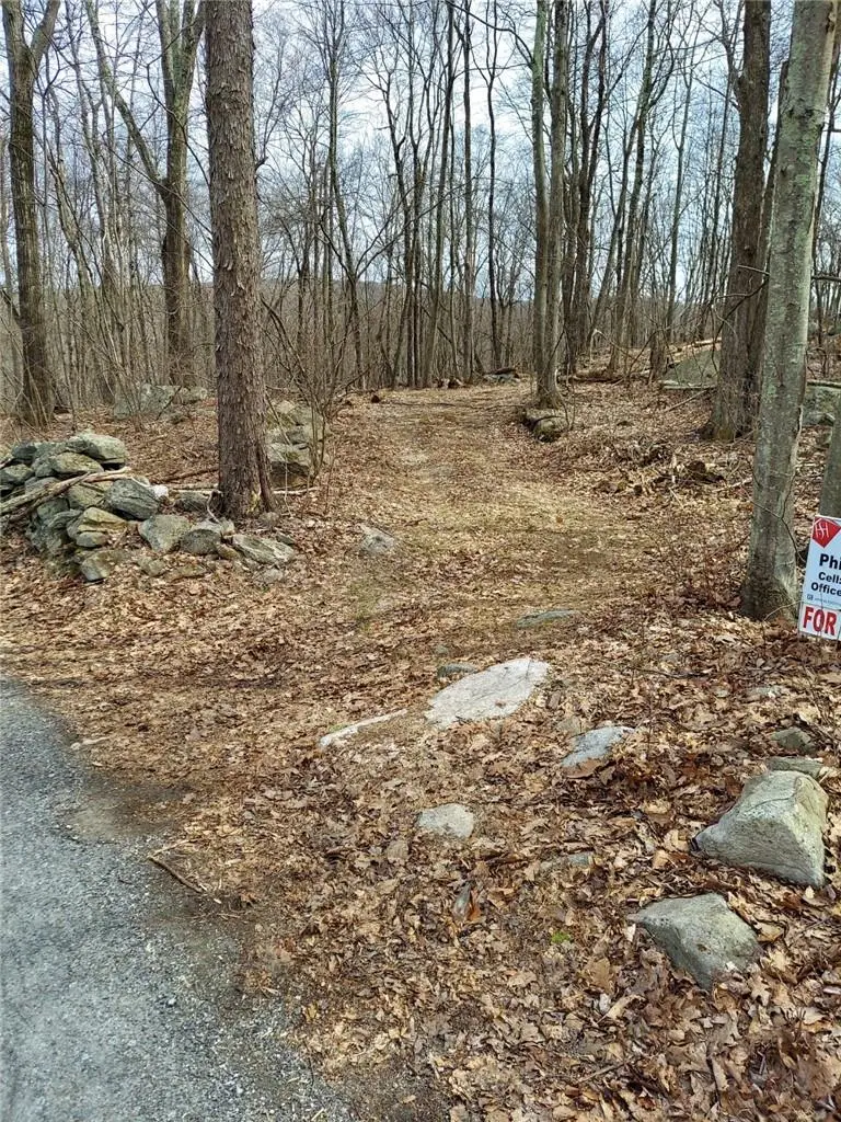 489 Grape Hollow Road, Holmes, NY 12531 - Image #1