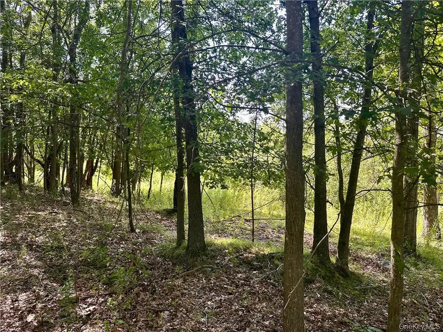 32 Mountainside Drive, Chester, NY 10918 - Image #3