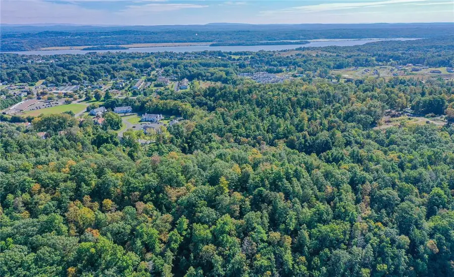 Tiger Maple, Saugerties, NY 12477 - Image #3