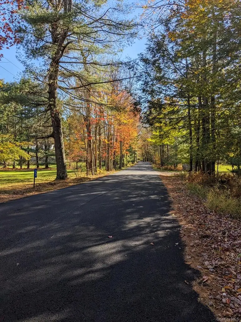 Moscoe Road, Bethel, NY 12786 - Image #2