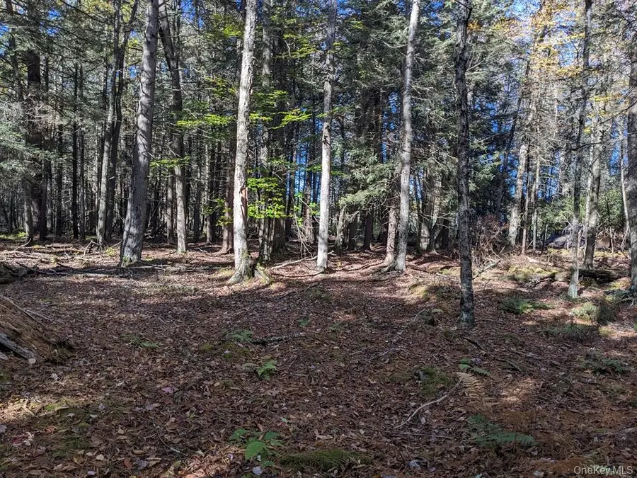 Moscoe Road, Bethel, NY 12786 - Image #3