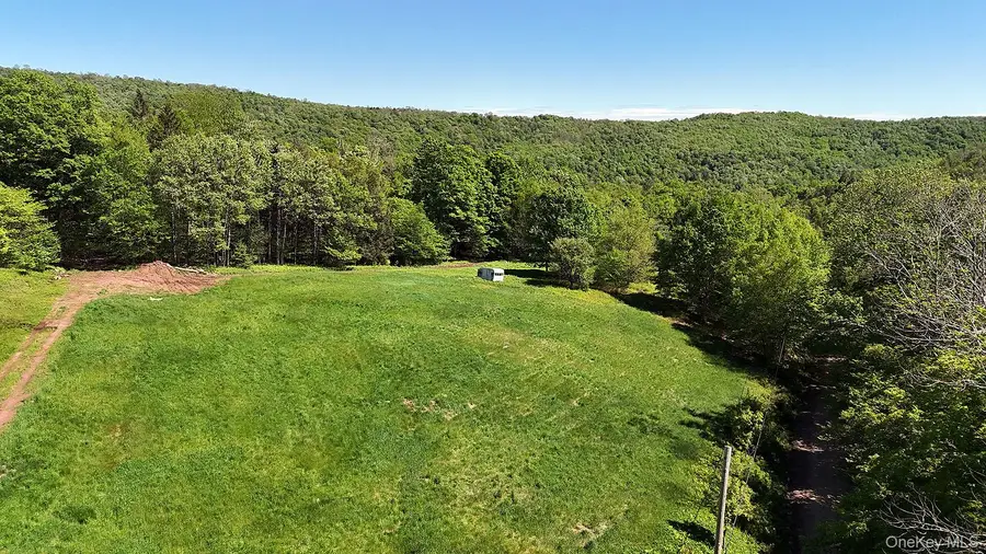 John Milk Road, Long Eddy, NY 13783 - Image #2