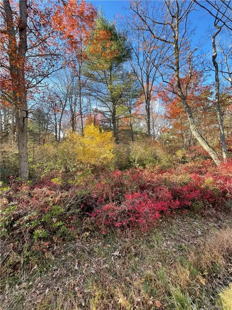 Lot 84 Forestburgh Road, Glen Spey, NY 12737 - Image #2