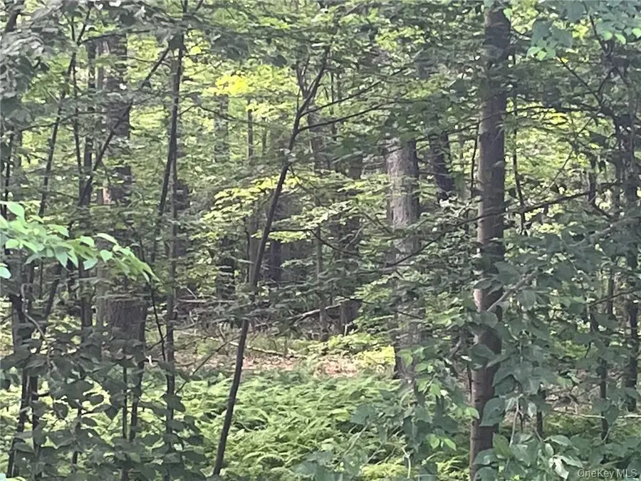 Mount Ross, Pine Plains, NY 12567 - Image #2