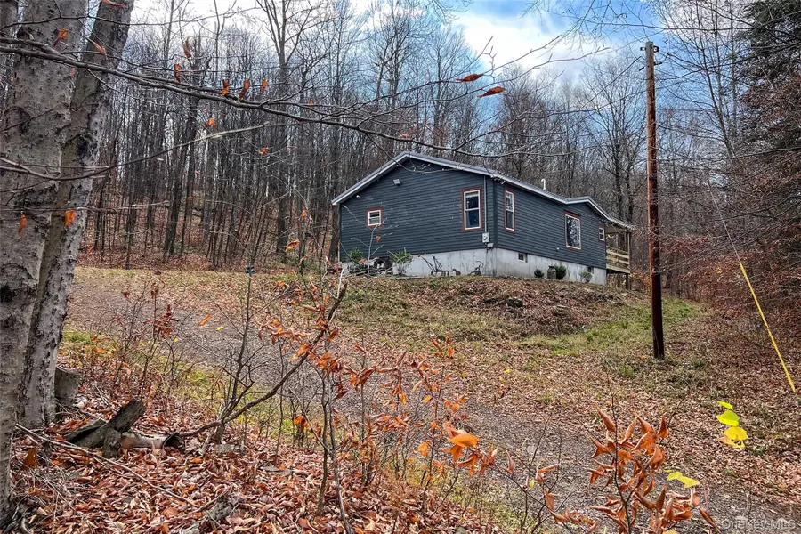 464 Curtis Lane, Hamden, NY 13782 - Image #3