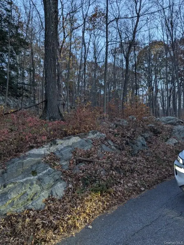 250 Hortontown Road, Hopewell Junction, NY 12533 - Image #3