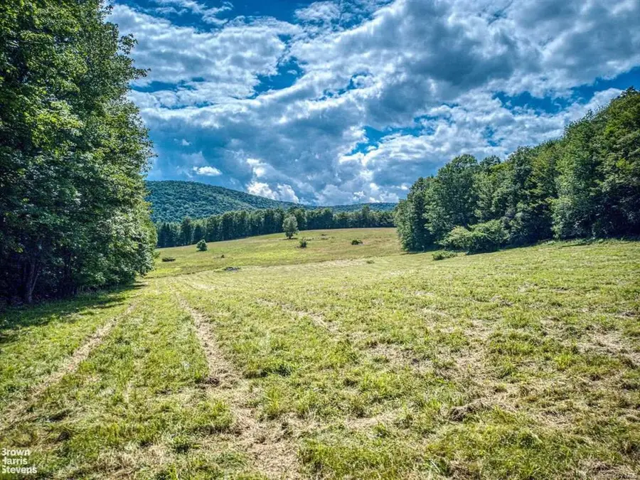 1 Brower Hill Road, Andes Town, NY 13431 - Image #3