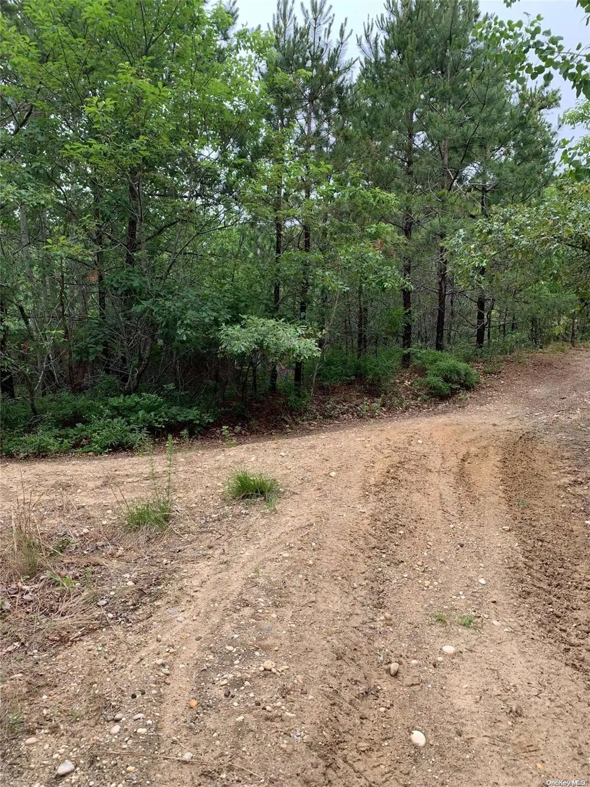 Woodland Road, Manorville, NY 11949 - Image #1