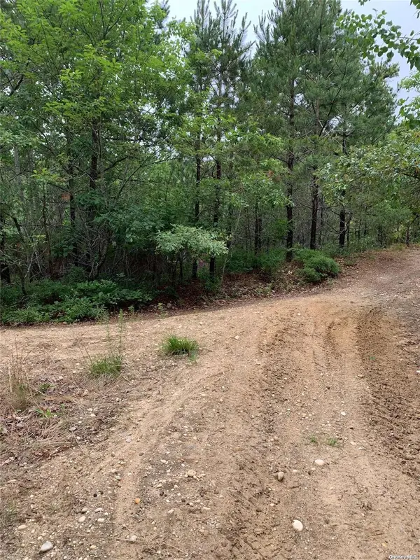 Woodland Road, Manorville, NY 11949