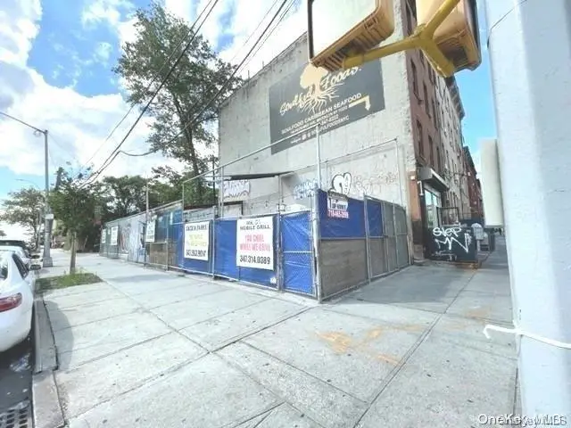 196 Rockaway Avenue, Brooklyn, NY 11233 - Image #3