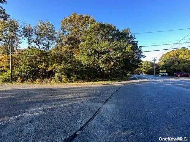VL Neighborhood Road, Mastic, NY 11950 - Image #2