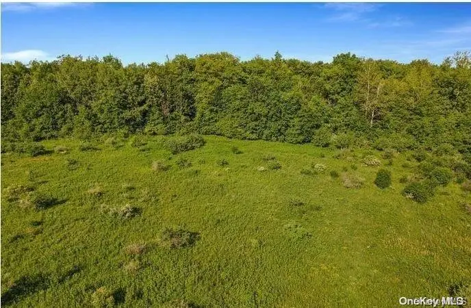 L8. 111 Churches Rd Ridges, Other, NY 12053 - #3
