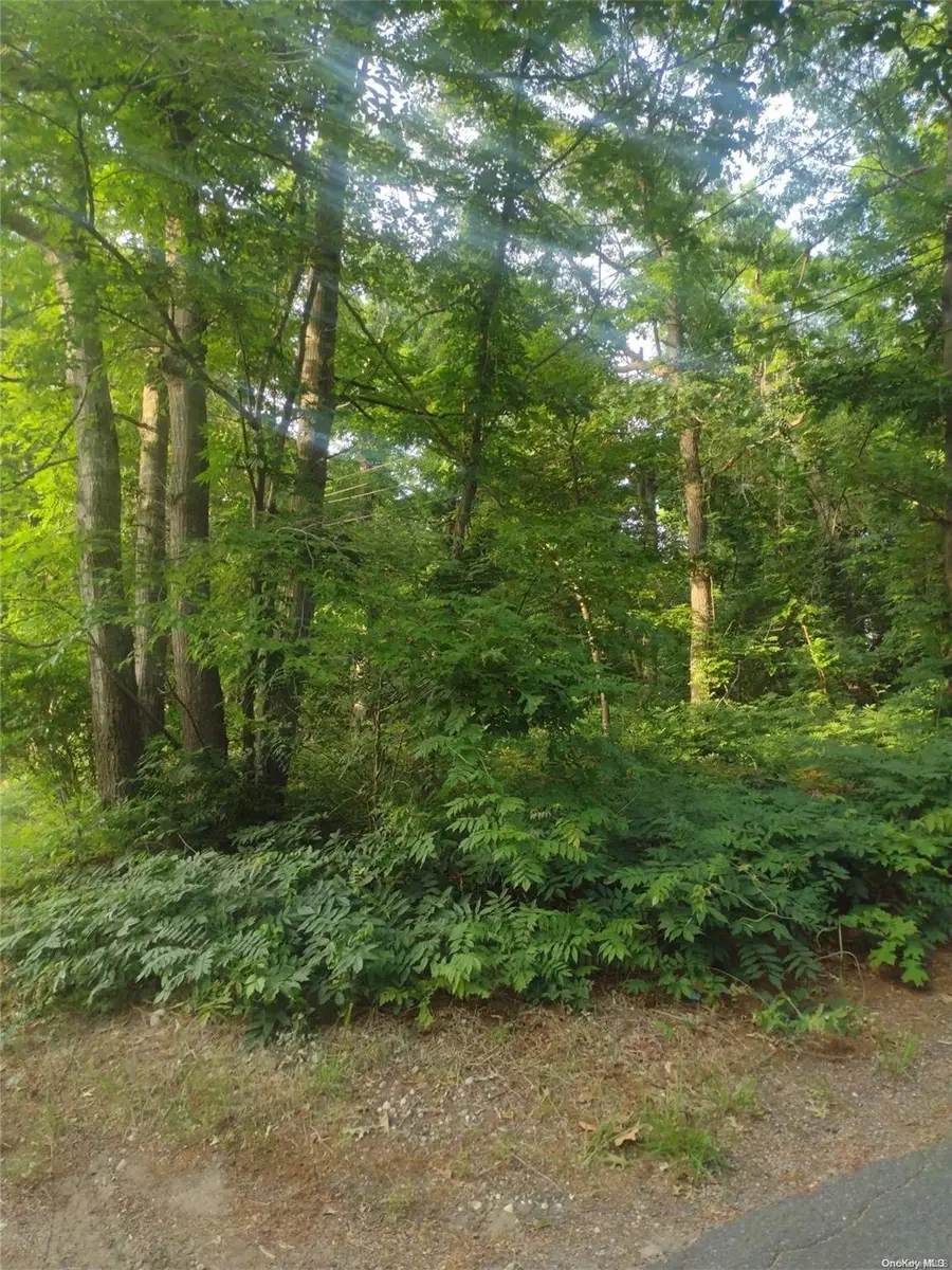 Cedar Lane, Medford, NY 11763 - Image #2