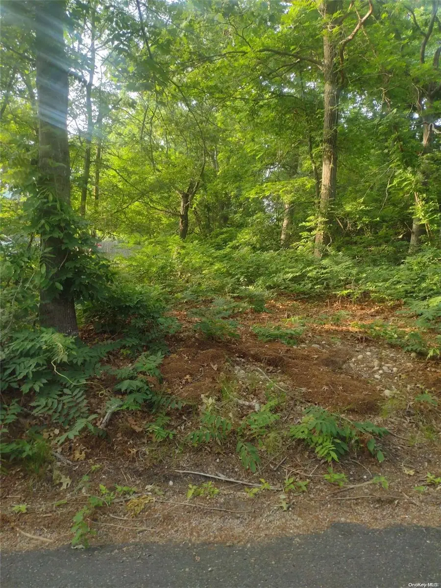 Cedar Lane, Medford, NY 11763 - Image #3