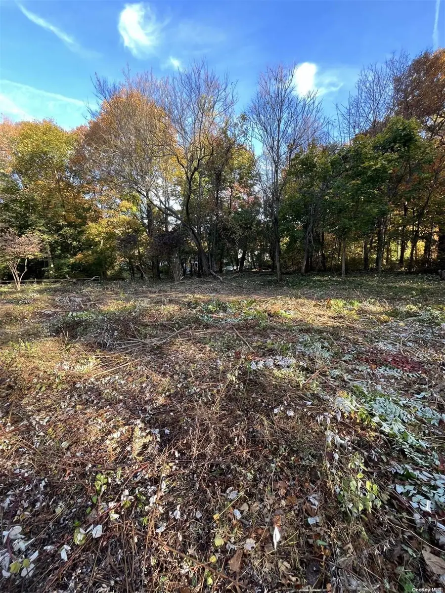 Dunlop Road, Huntington, NY 11743 - Image #3